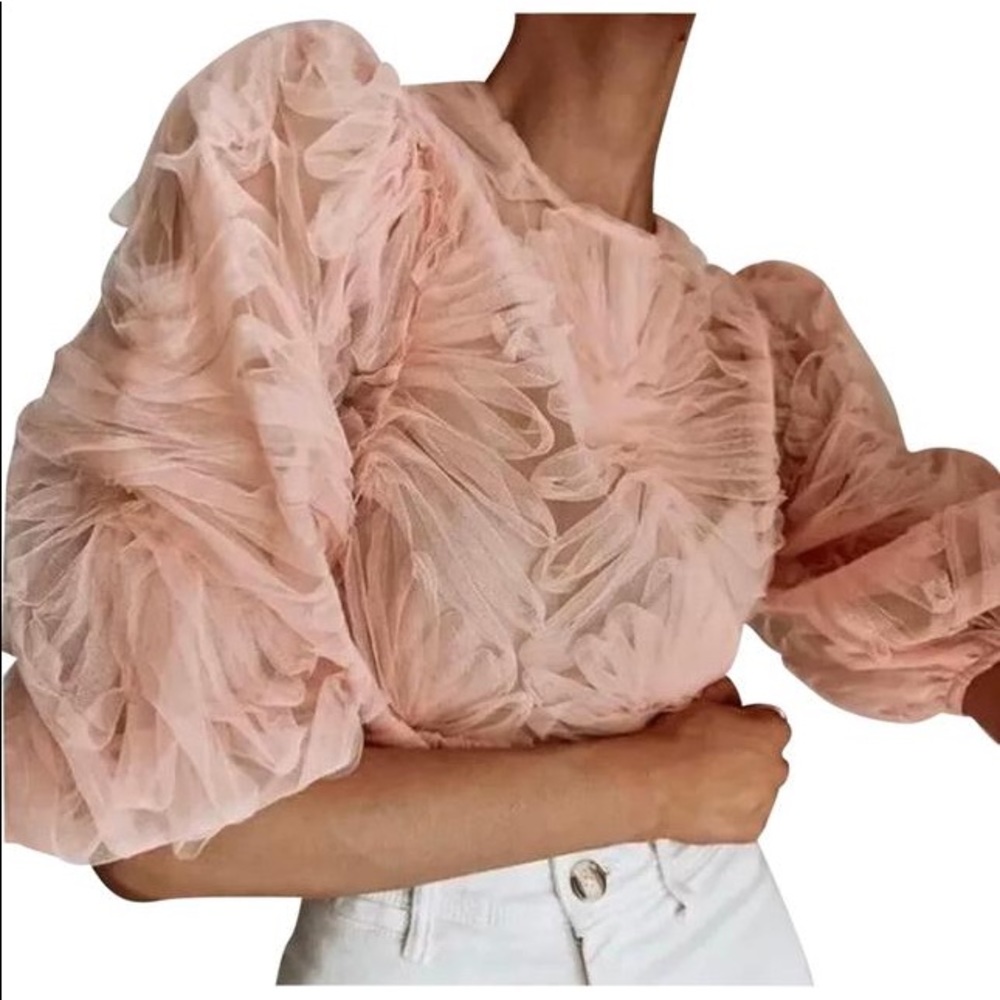 Zara tulle top